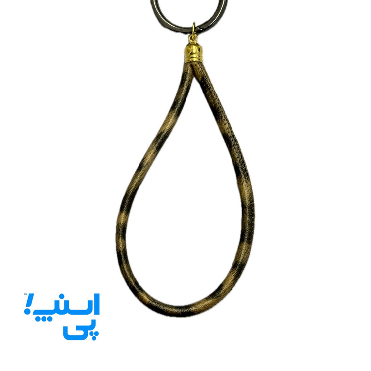 چارم بگ پلنگی